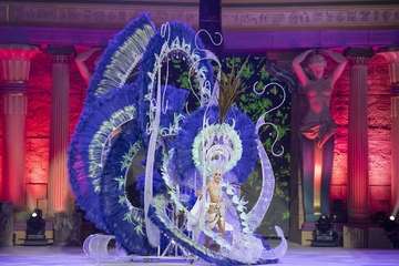 Daniela Medina, Reina del Carnaval de La Tierra/Lpcarnaval.